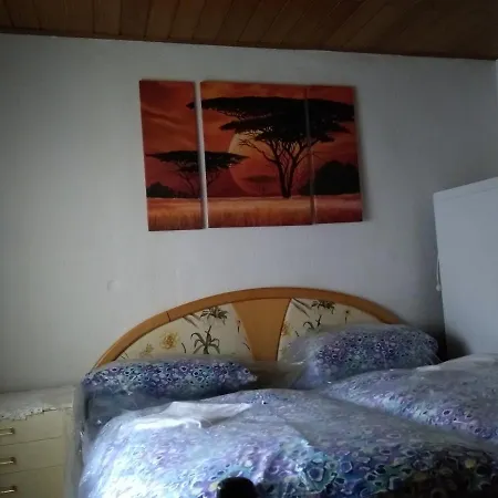 אכסניה Haus Rennsteig רייכנבאך אים פוגטלנד