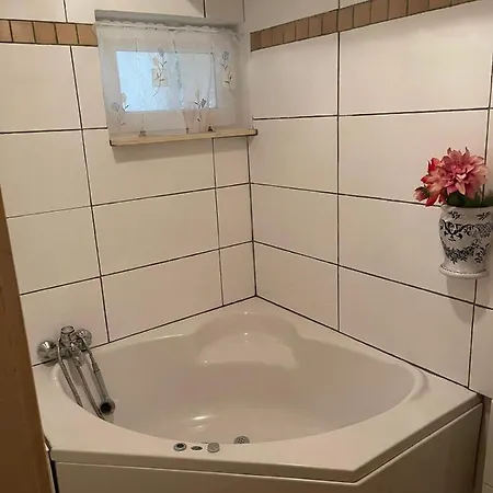 אכסניה Haus Rennsteig רייכנבאך אים פוגטלנד
