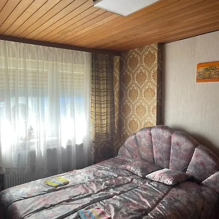 אכסניה Haus Rennsteig רייכנבאך אים פוגטלנד