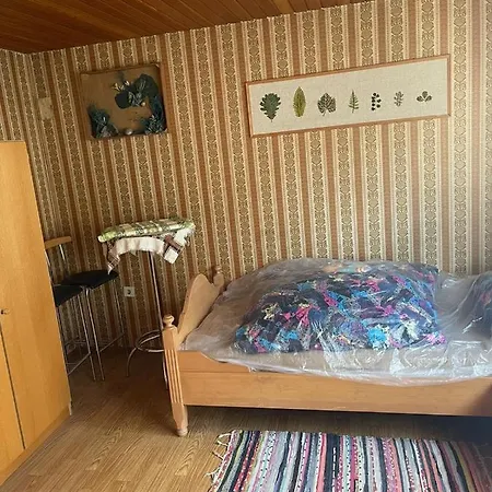 Haus Rennsteig רייכנבאך אים פוגטלנד